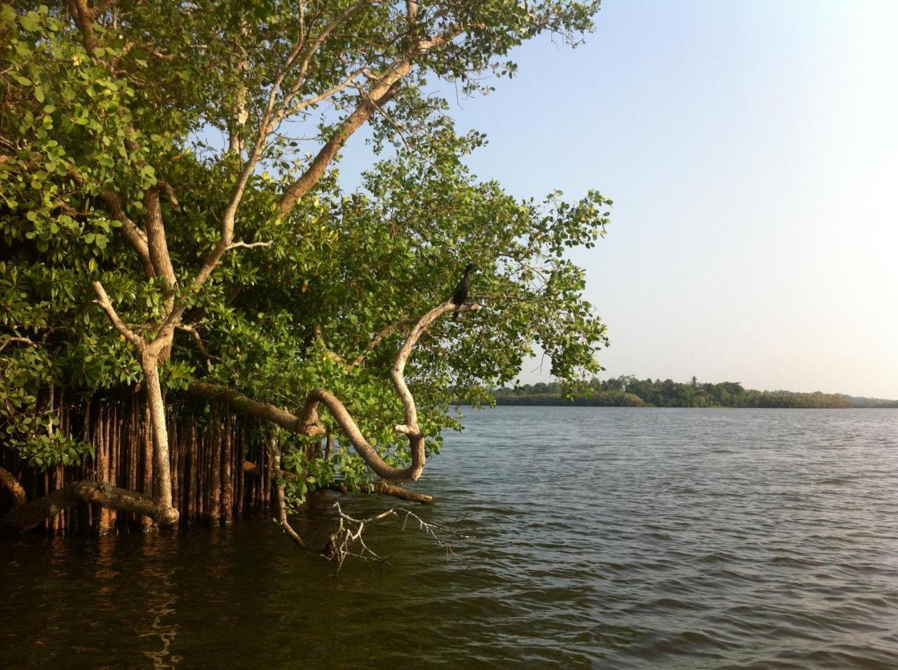 Lake Life Villa Ambalangoda  Exterior photo